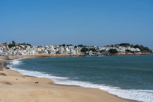 Unraveling the Links: How Chronic Stress Fuels the Rise of Cardiovascular Diseases